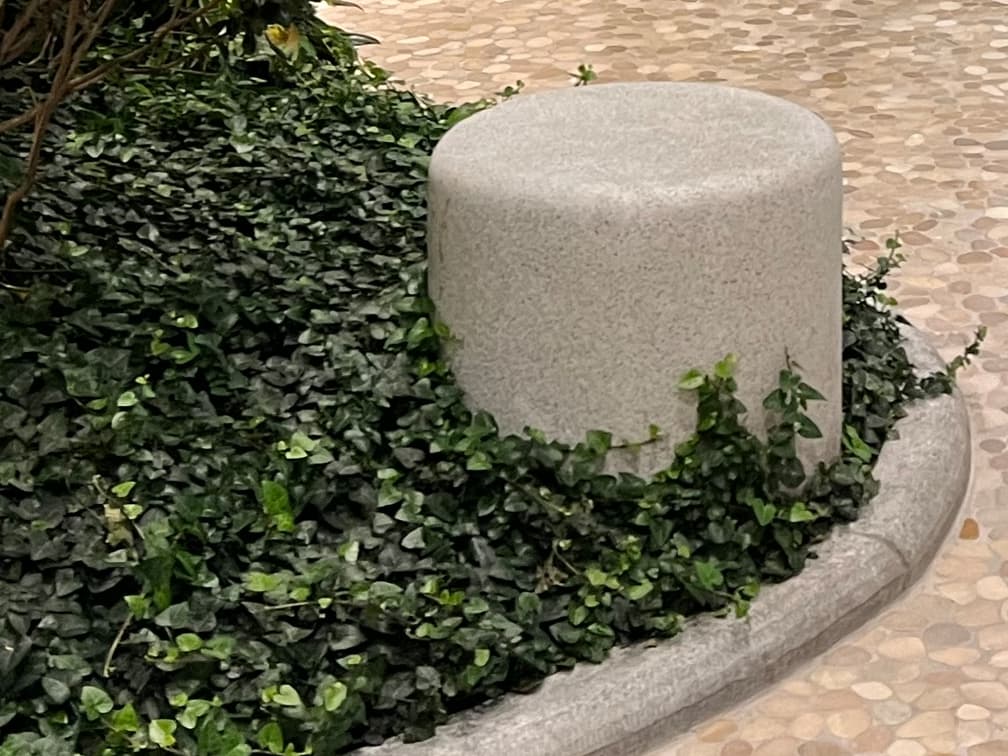 아이비 - 아이비는 상록성 덩굴식물로, 기는 줄기를 통해 지면을 덮거나 벽체·구조물을 타고 오르며 공간을 유연하게 연결하는 특성을 지닌다. 잎은 품종에 따라 단색 또는 무늬를 가지며 연중 유지되어 사계절 안정적인 녹지 면적을 확보하는 데 유리하다. 반음지에서 생육이 가장 안정적이나 양지부터 음지까지 폭넓은 환경 적응성이 특징적이다.